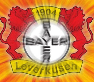 bayern leverkusen stadium tour