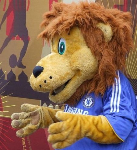 Club Mascot - Stamford The Lion