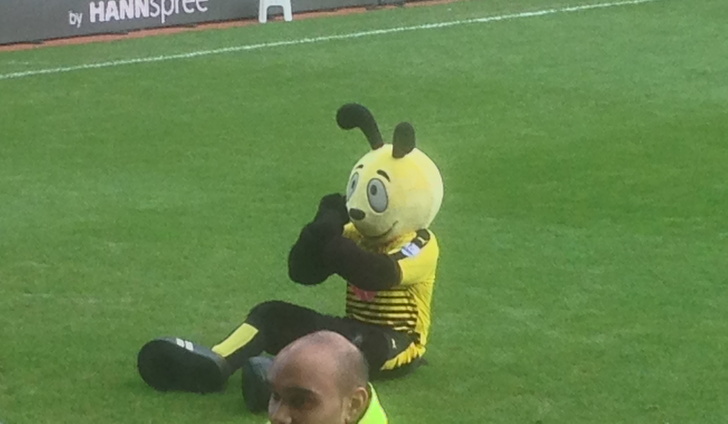 Harry The Hornet